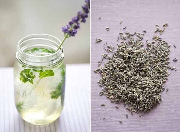 lavender mojito recipe with fresh mint and fresh dried lavender