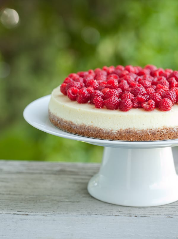 goat cheese cheesecake with fresh raspberries Sugar and Charm Sugar and Charm