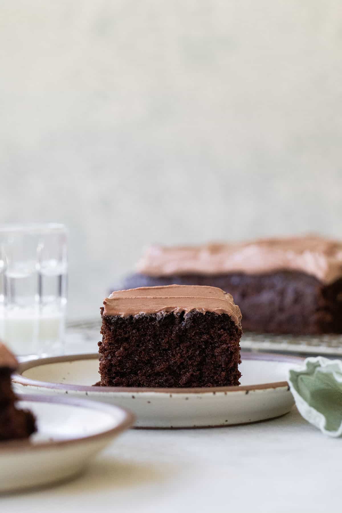 homemade chocolate cake