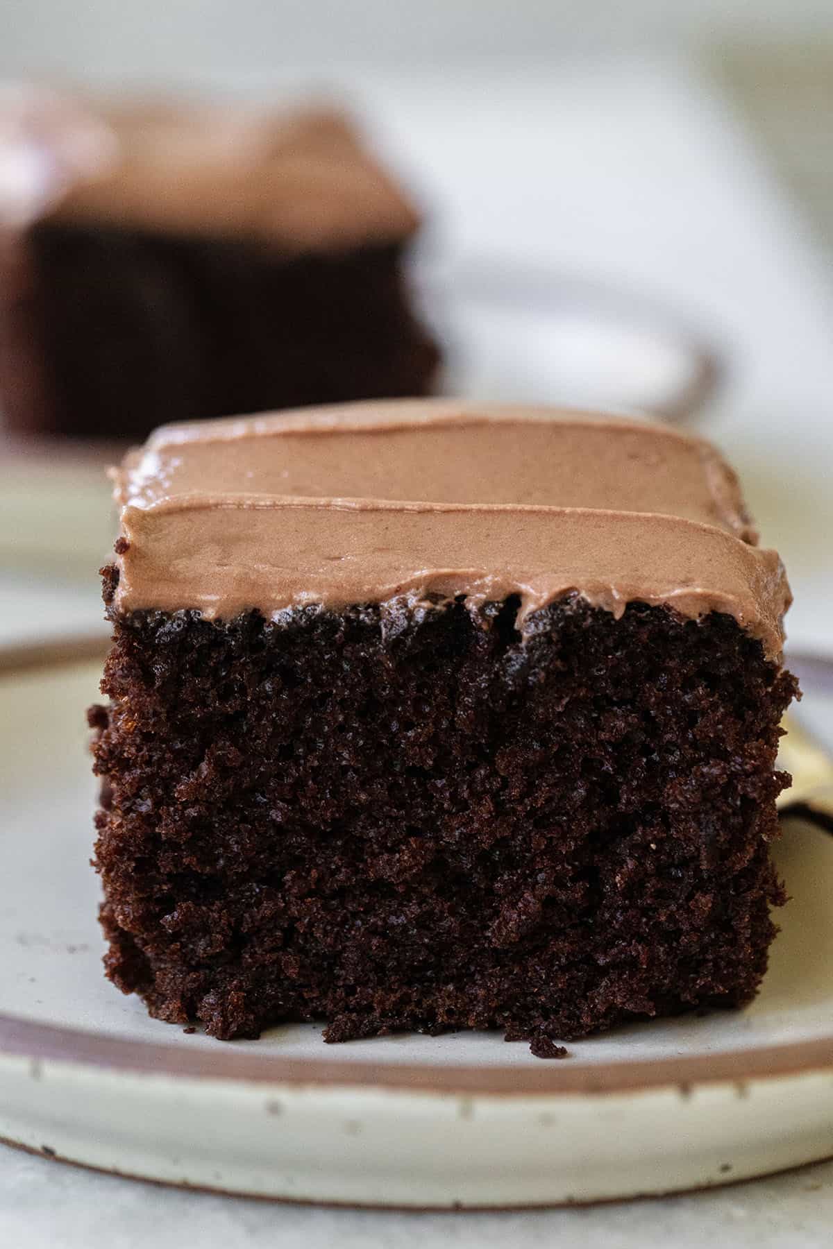 Fluffy chocolate cake.