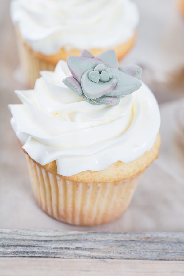 close up of mini cake with succulent on it