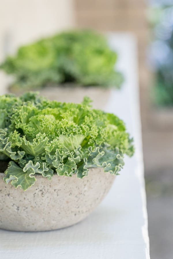 side shot of cement bowls