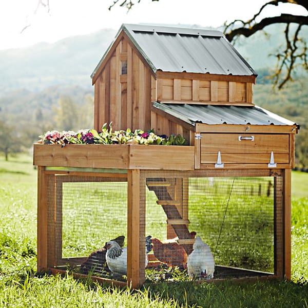 small wooden coop with a chic tin roof