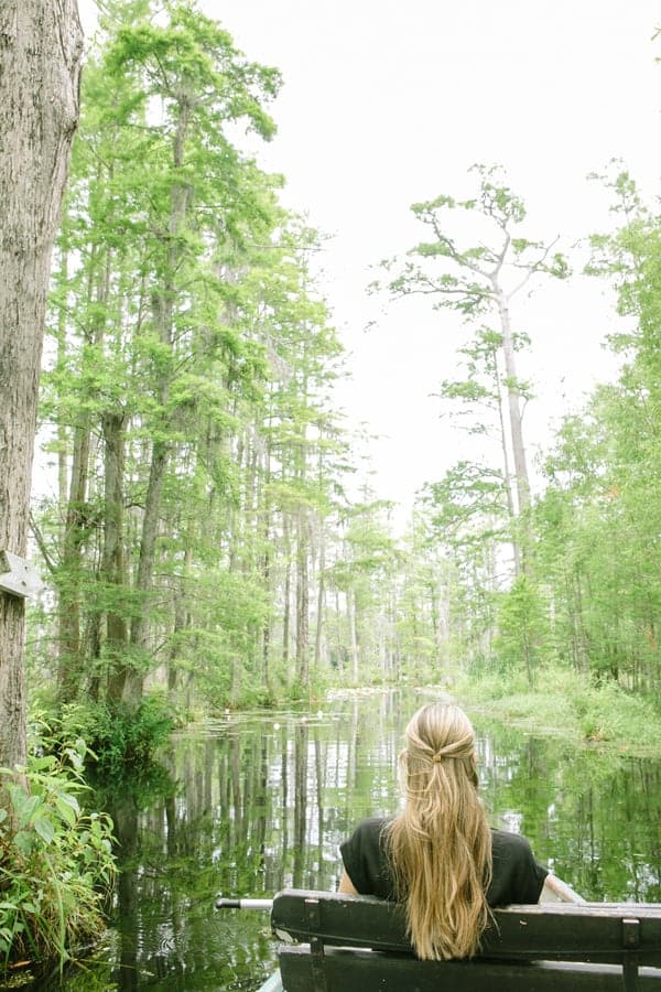 Cypress garden Charleston 