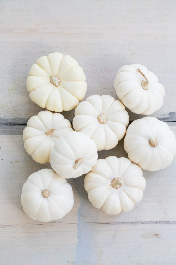White mini pumpkins