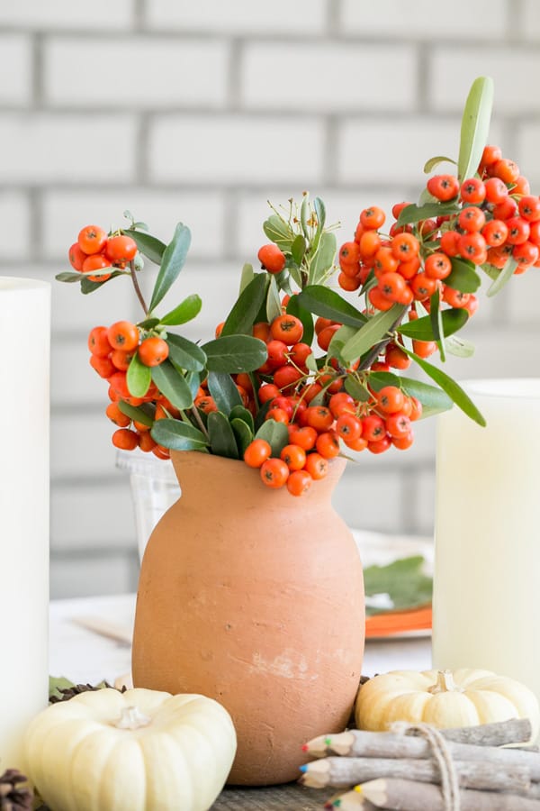 Clay vase with red berries.