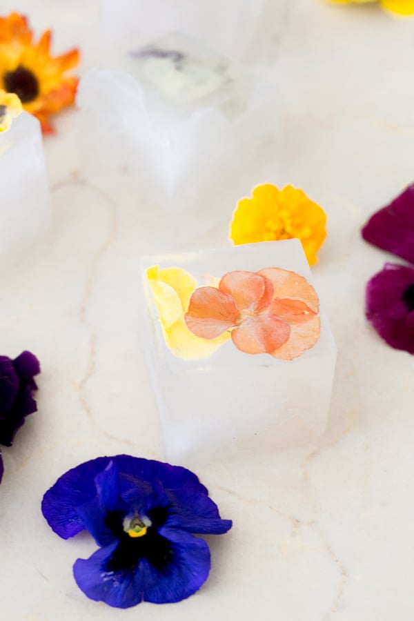ice cubes with flowers