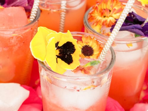 Berrylicious Floral Cocktail Sugar And Charm