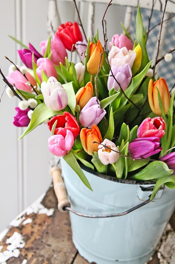 cut tulips in a pale