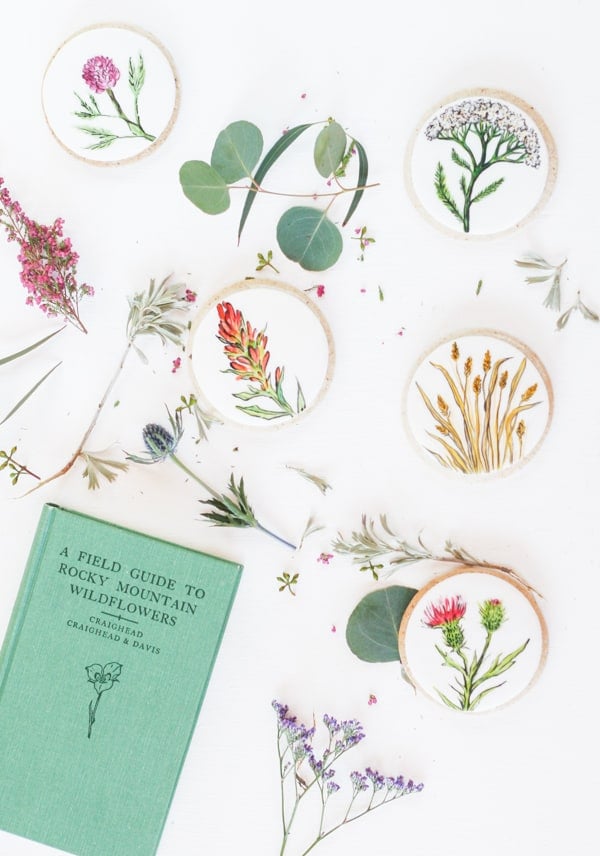 Painted Cookies with wildflowers and fondant 