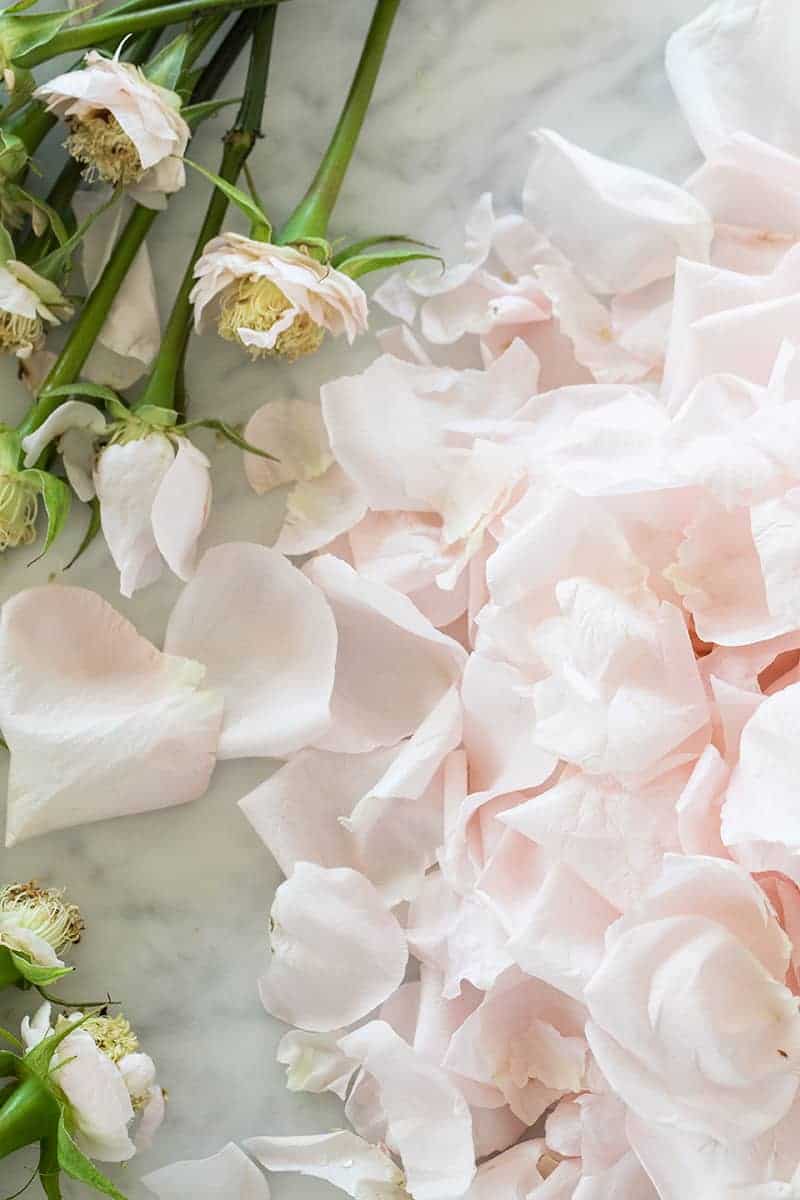 Rose petals torn off the stems on a marble table - how much rose water