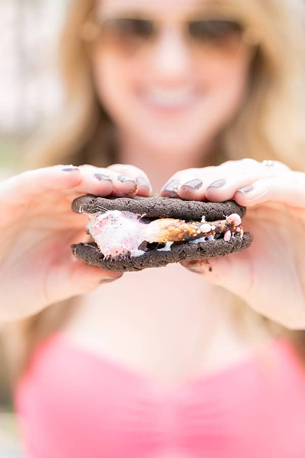 Chocolate chip cookie s'more