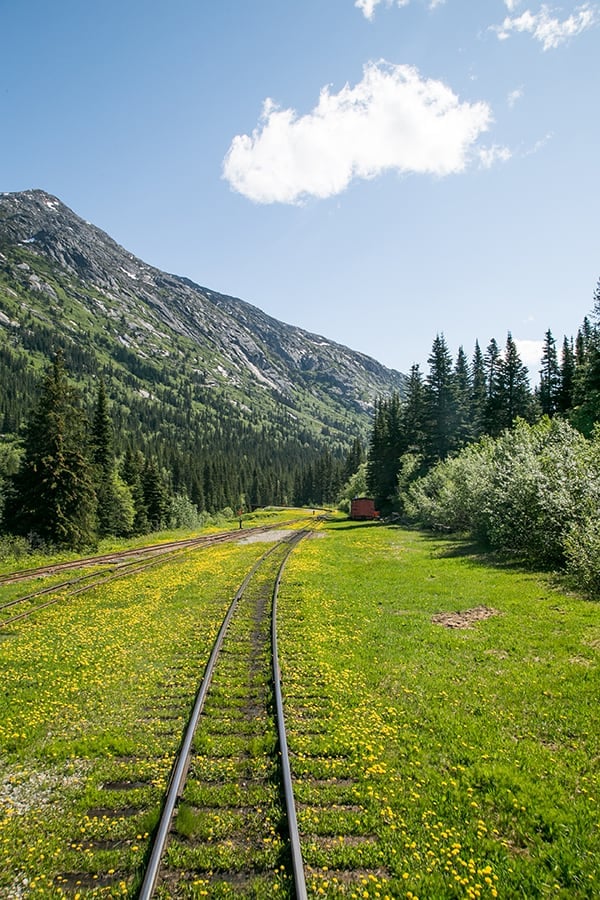 Train ride through Alaska 