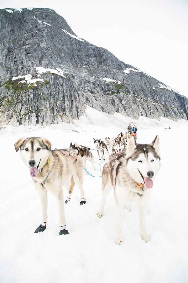 Dog sledding in Alaska 