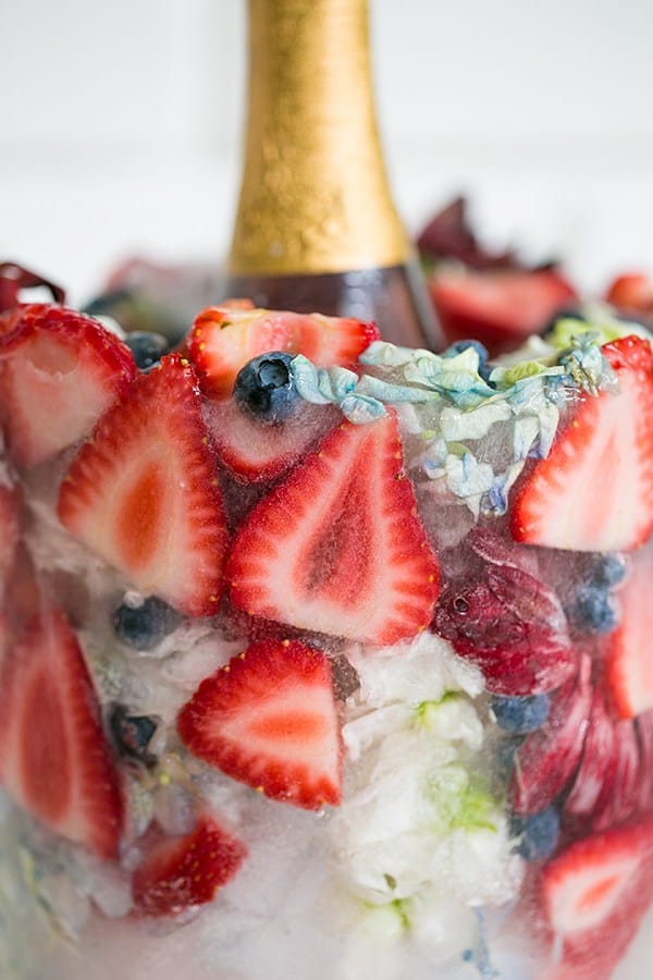 close up of wine chiller bucket, with frozen strawberries 