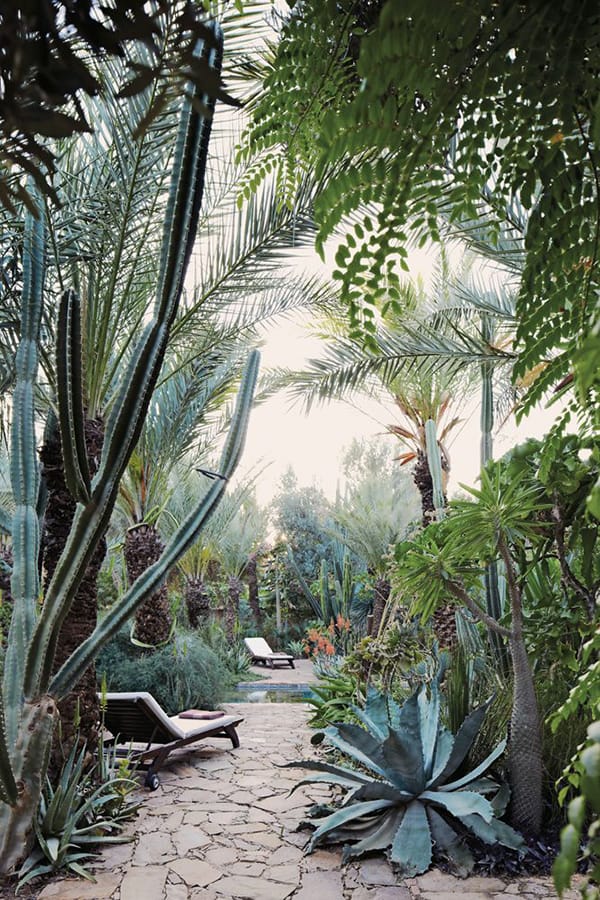 Lush desert yard with pavers.