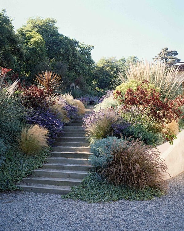 Lush yard with purple, green and brown flowers and plants.