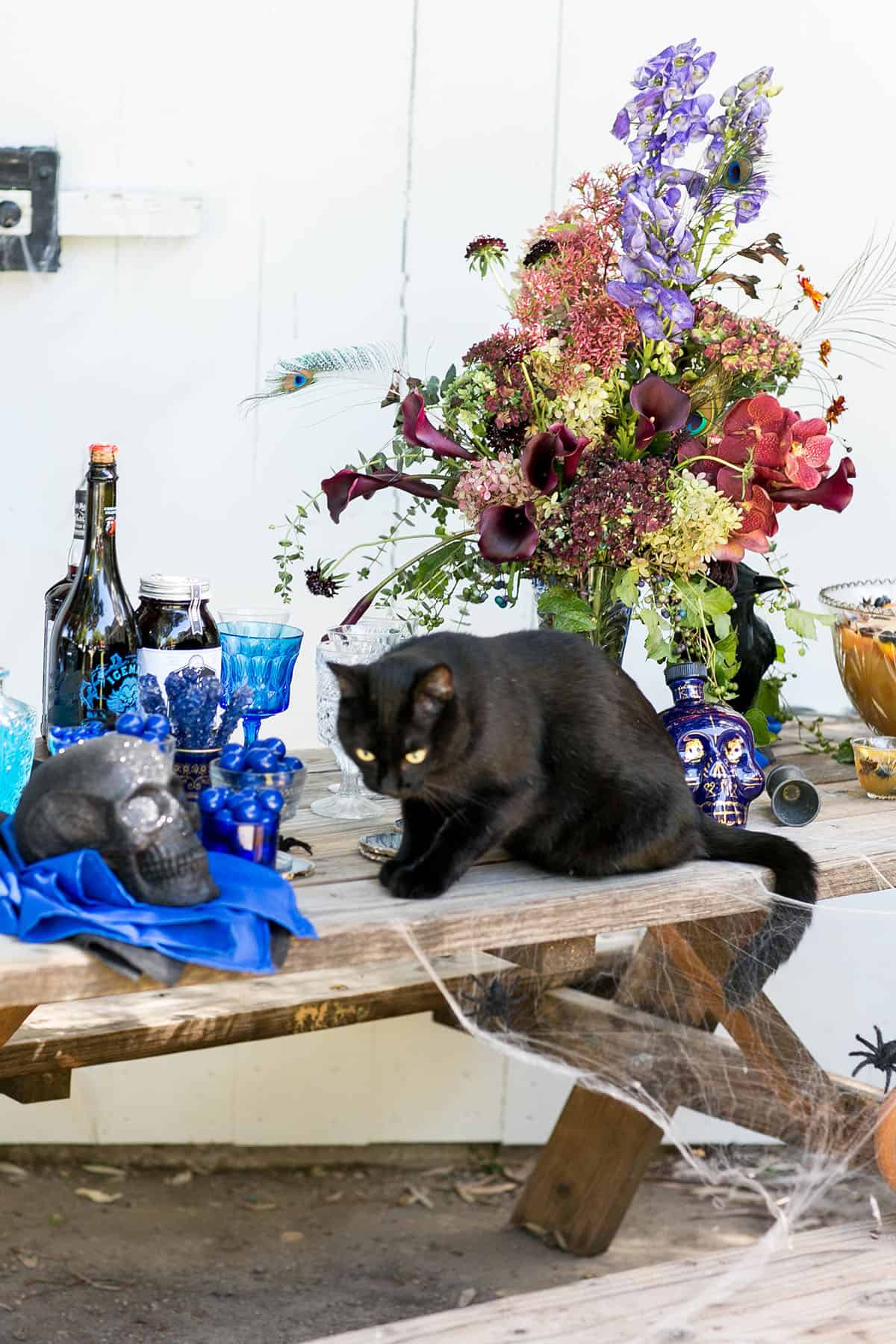 black cat on a Halloween table