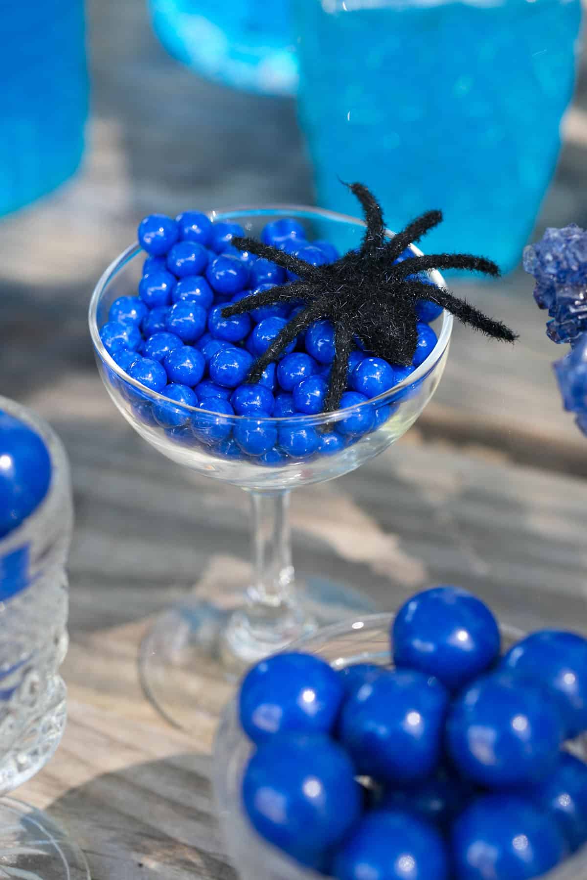 fuzzy faux spider on candy 