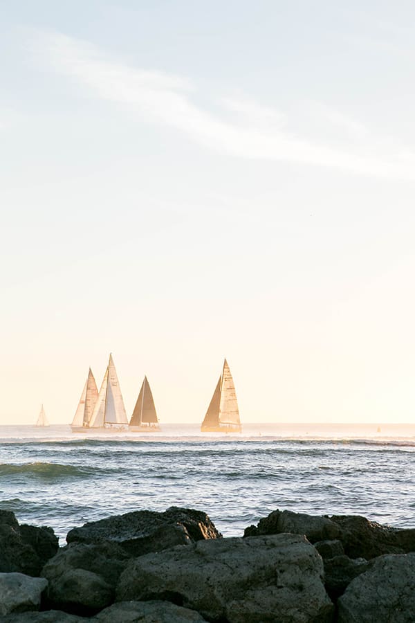 Sailboats in the ocean.
