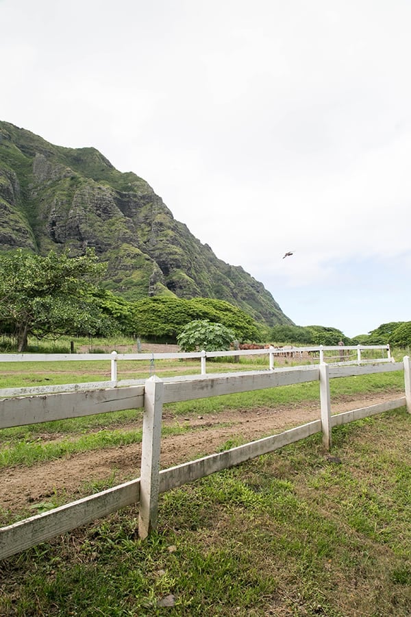  Jurassic Park in Hawaii 