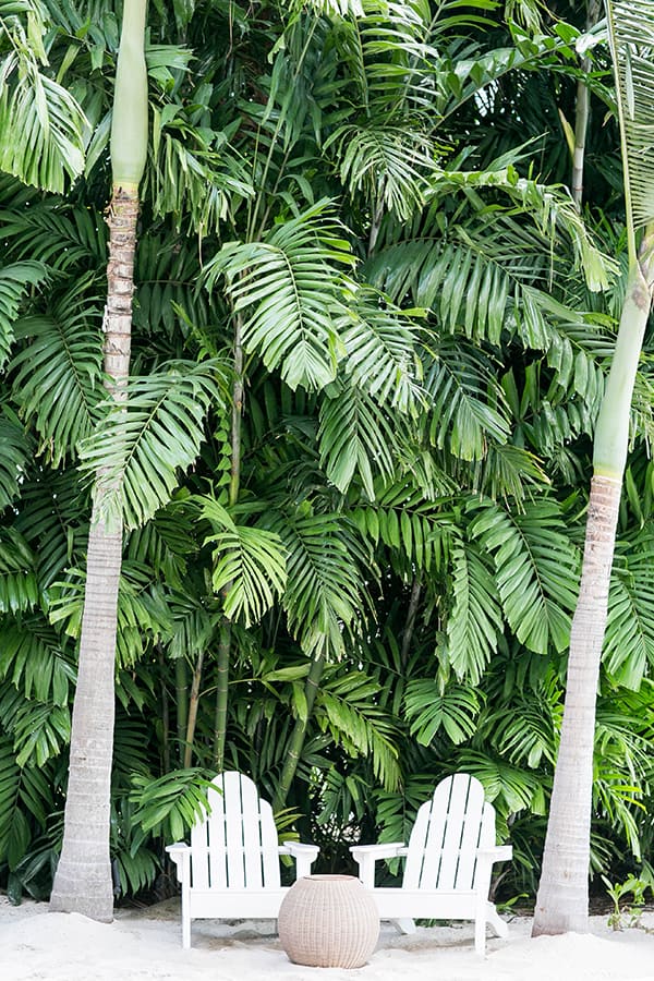 The Modern hotel with palm trees and two chairs on the sand