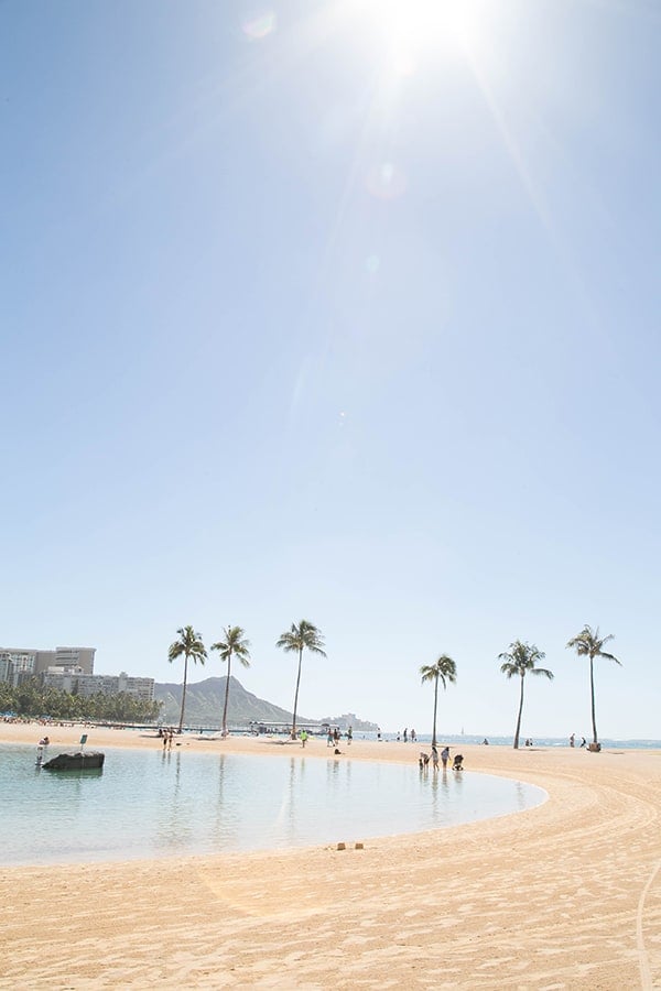 Beautiful beach with palm tress in Oahu.