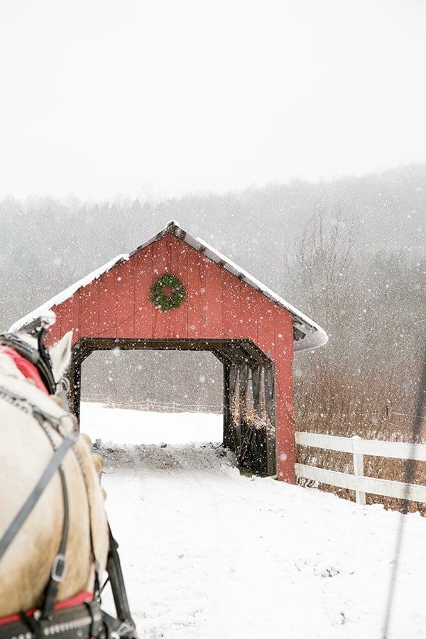 Horse sled and red barn in Stowe Vermont 