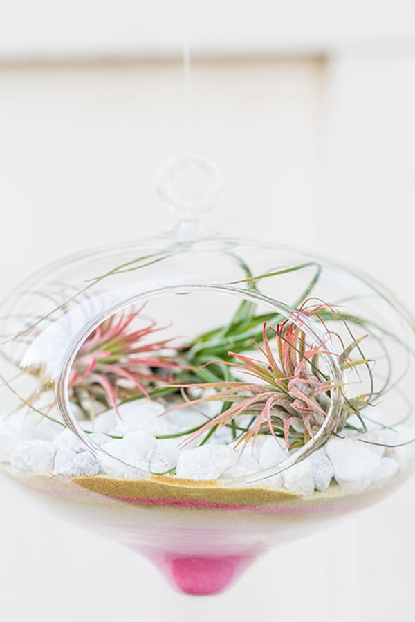 Valentine's Day Terrarium with pink and gold sand and white rocks.