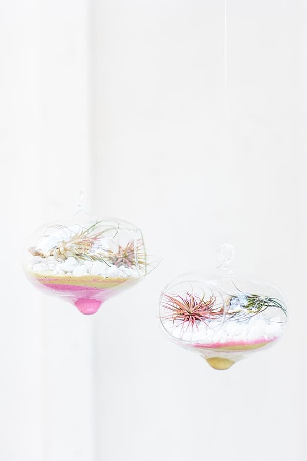 Valentine's Day Terrariums with pink and gold sand and white rocks. 