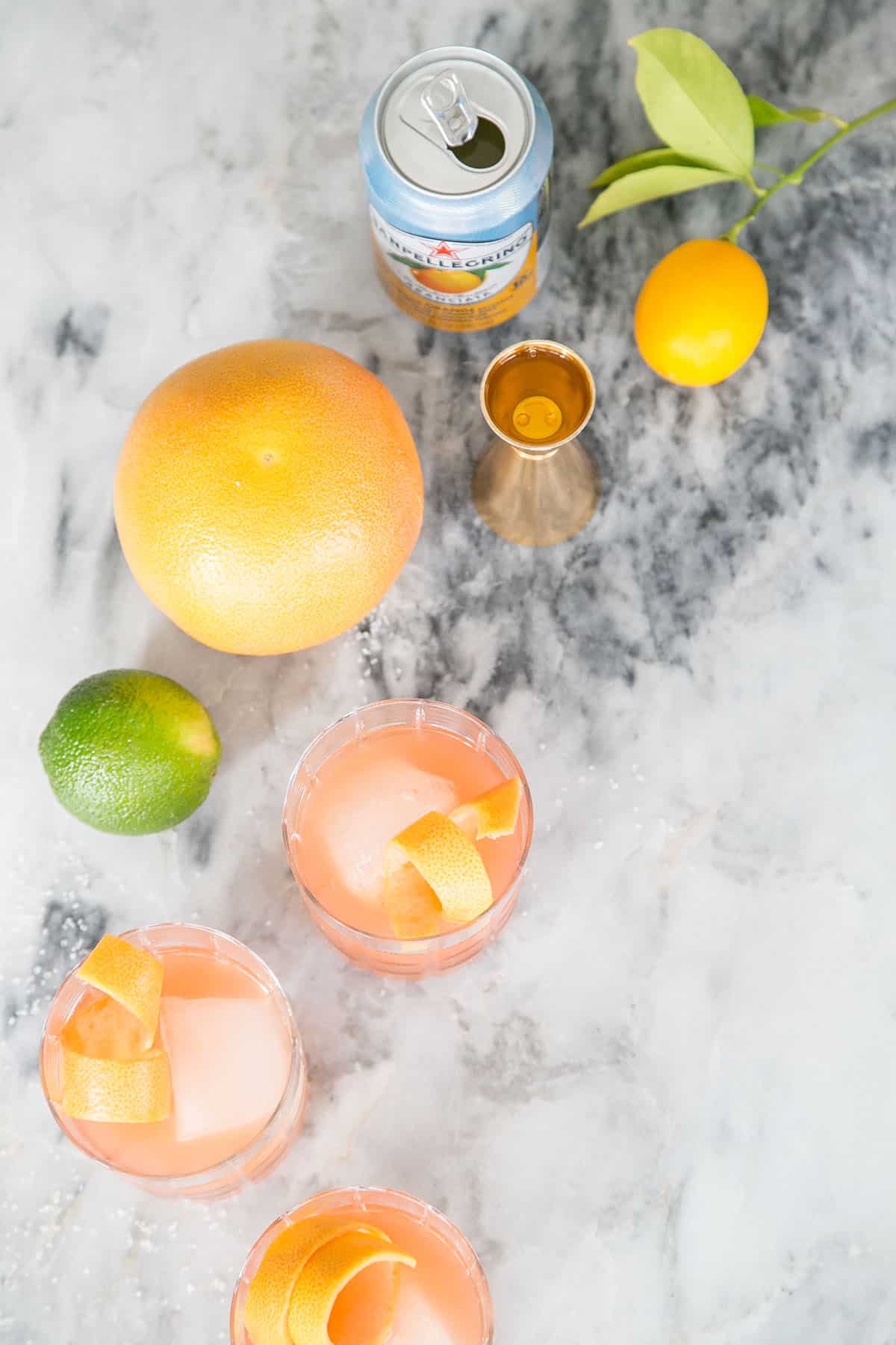 ingredients to make a paloma drink recipe with campari 