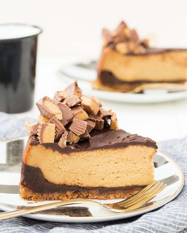 ChocolatePeanutbutterCheeseCake_1