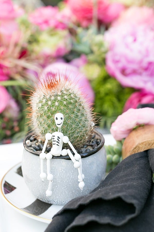 Succulent in a vase with a tiny skeleton sitting on the edge.