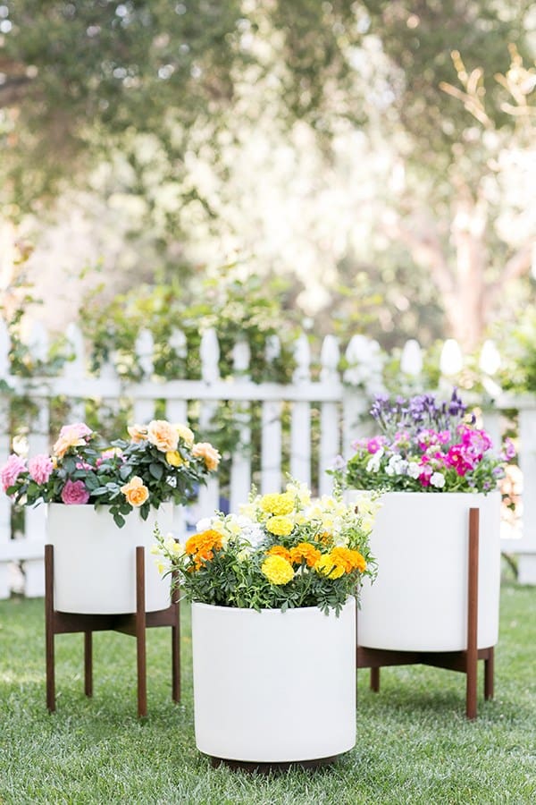 Three large pots filled with edible flowers on a grassy lawn with a white picket fence. 