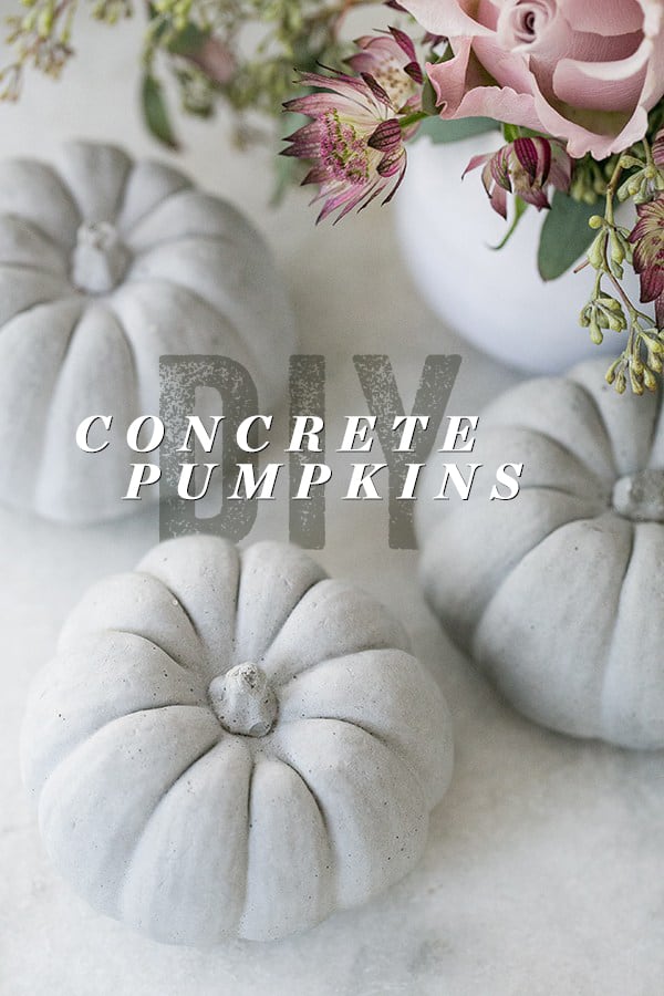 concrete pumpkins 