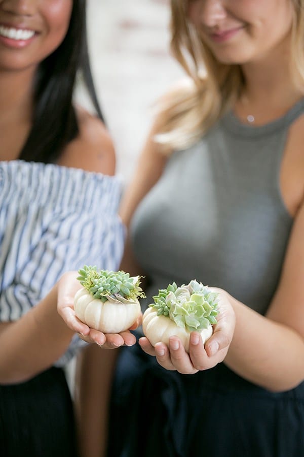 Holding tiny pumpkin succulents - fall baby shower, baby shower theme