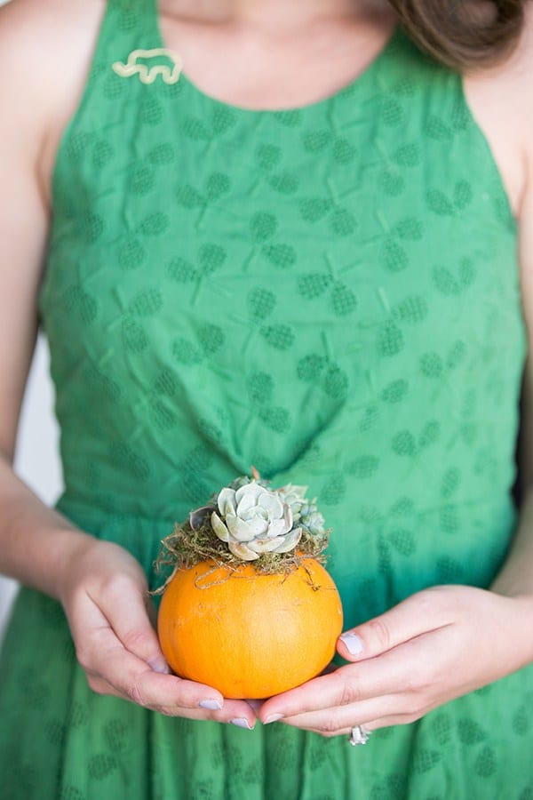 Holding a DIY pumpkin succulent - fall baby shower, baby shower theme