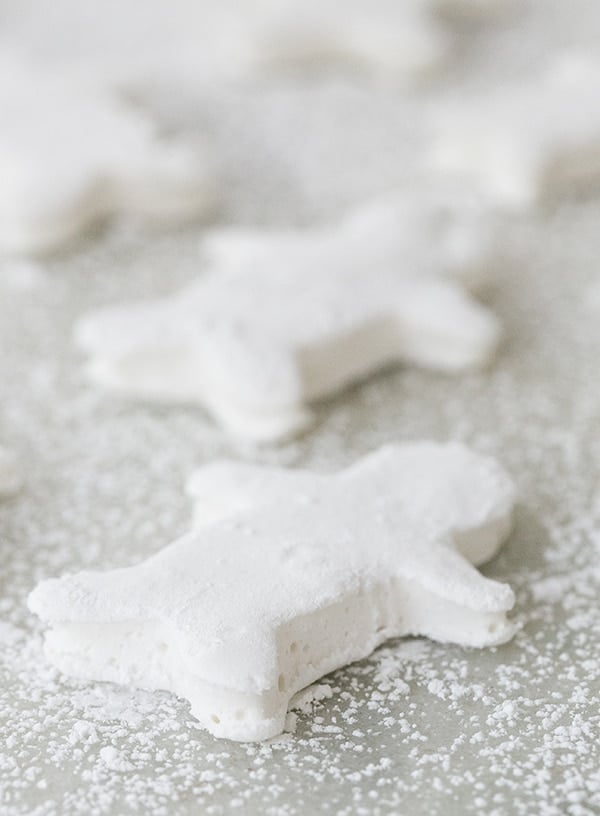 Homemade gingerbread marshmallow