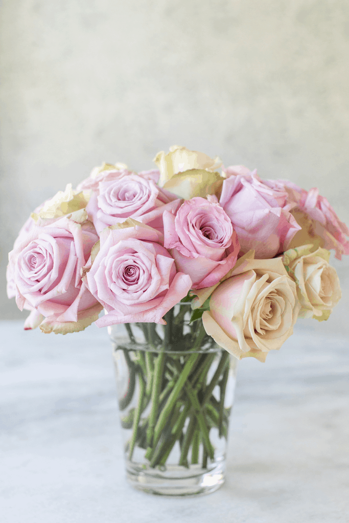 pink flowers drench with fresh water