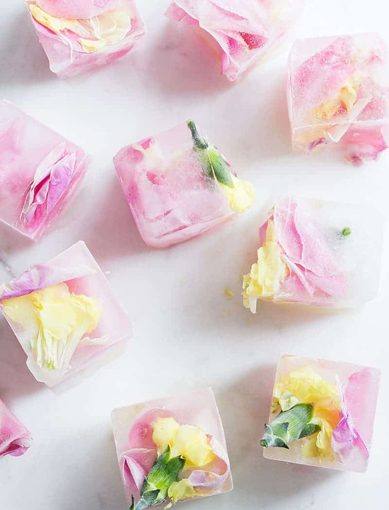 Floral pink ice cubes with flowers frozen inside.