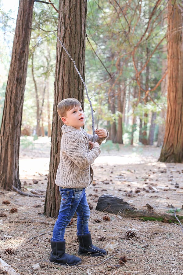 Little boy in the forest 