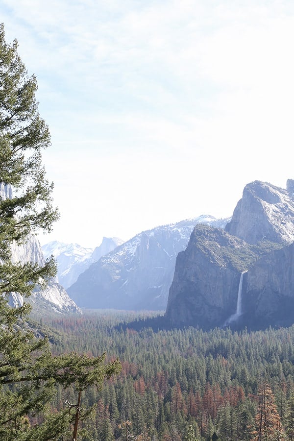 Yosemite National Park