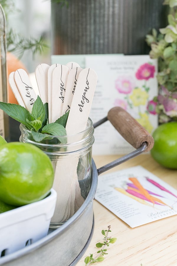 Wooden garden markers for cocktails.