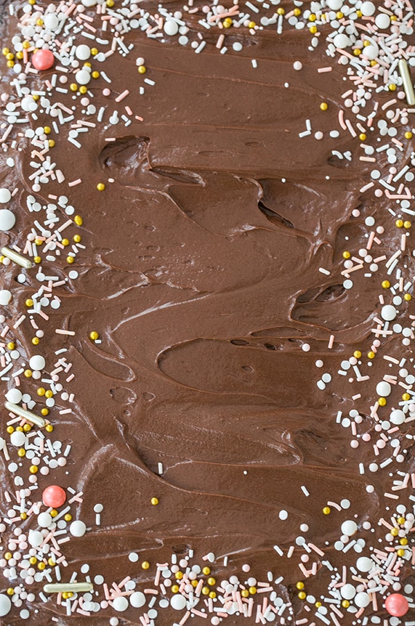 Chocolate buttercream frosting with sprinkles. 