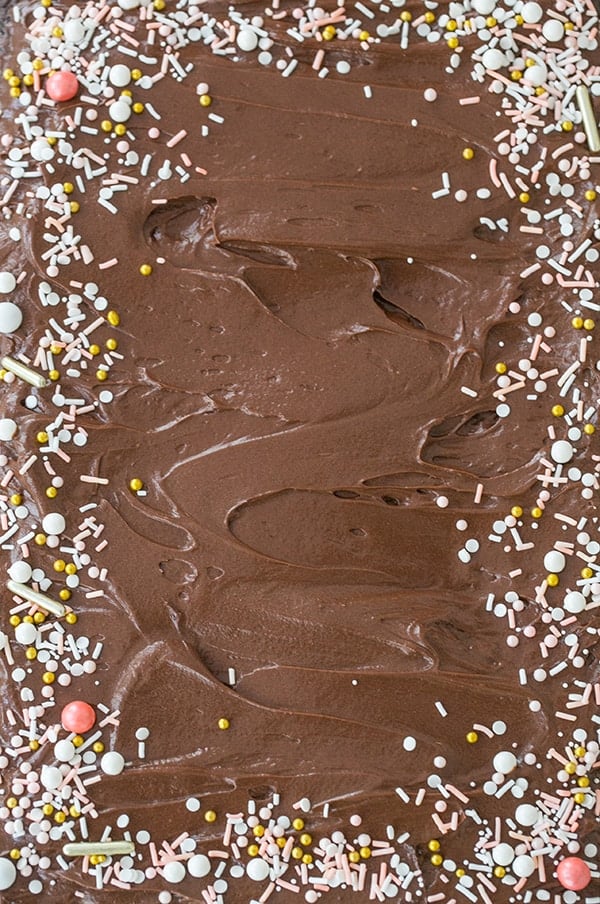 Chocolate buttercream frosting with sprinkles. 