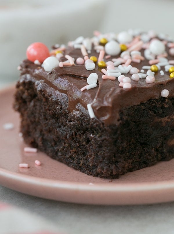 Slice of Chocolate Cake with chocolate buttercream frosting and sprinkles. 