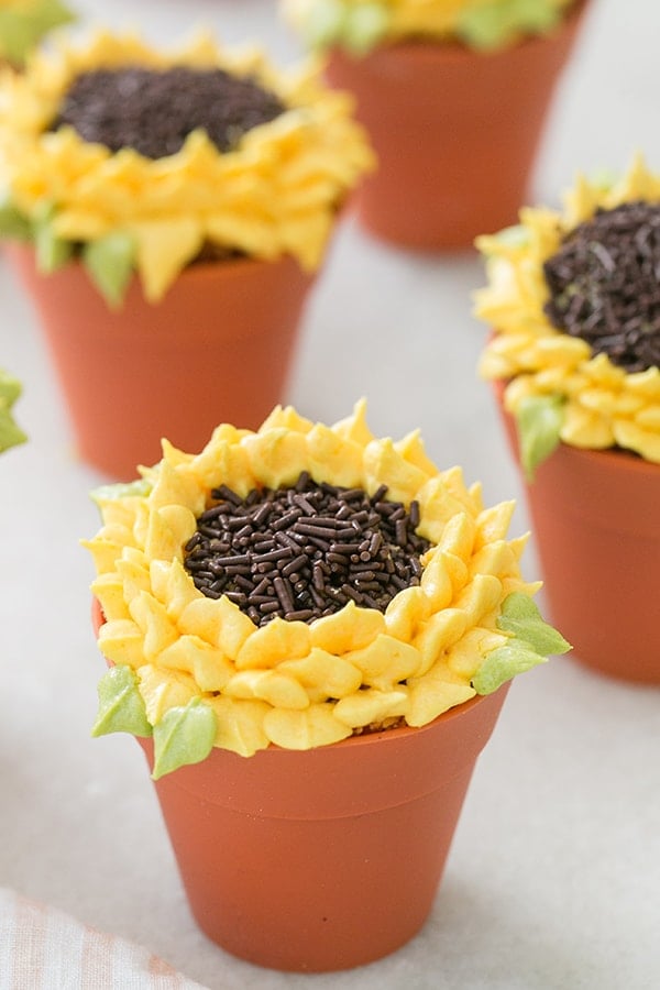 Pumpkin Spice Sunflower Cupcake