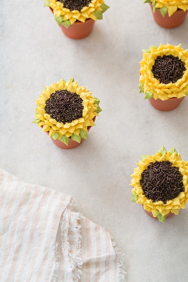 Pumpkin Spice Sunflower Cupcakes on a marble table 