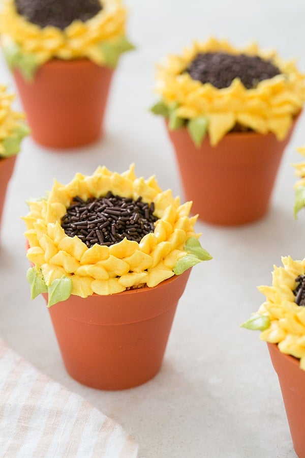 Pumpkin Spice Sunflower Cupcakes in baking pots