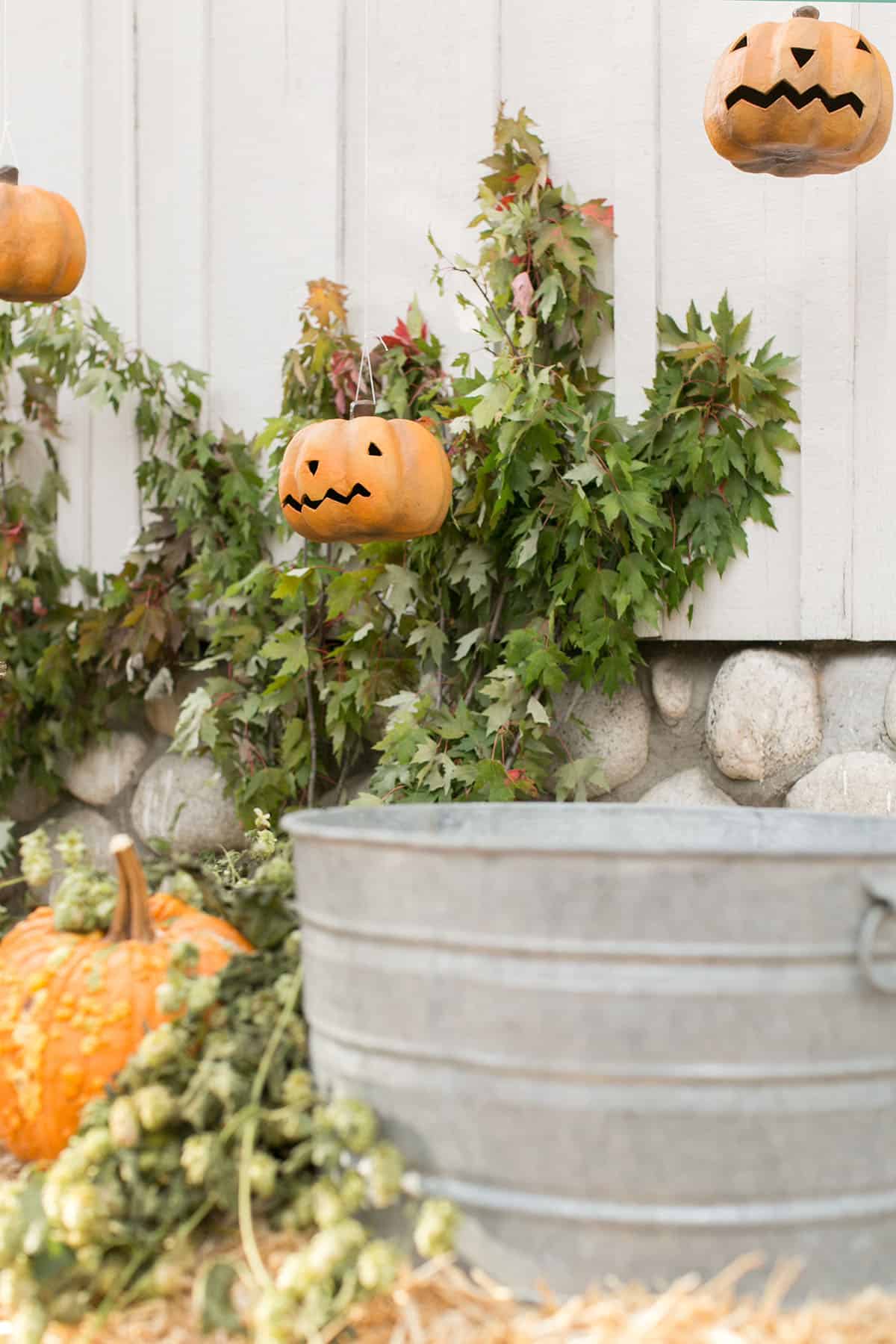 hanging pumpkins